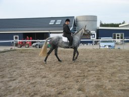 LF HSC - 0949_web